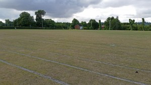 Rugby pitch (Medium)