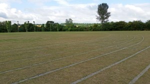 Running track (Medium)